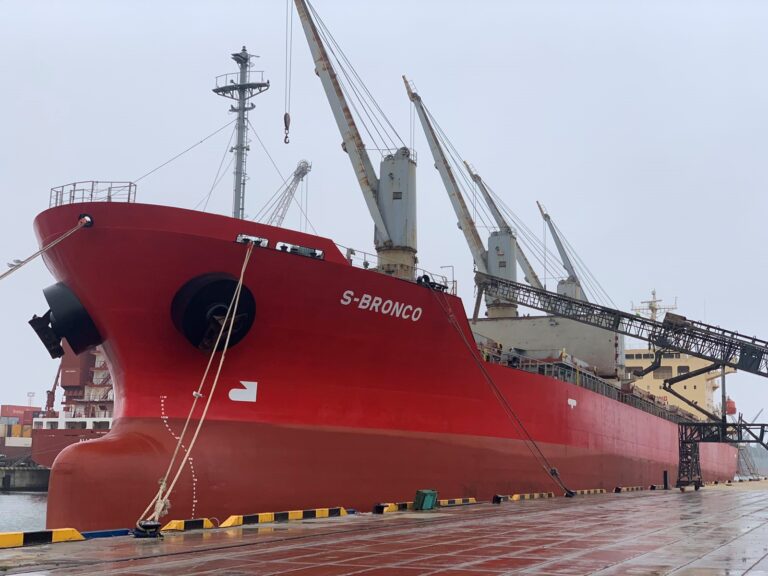 Stevedoring results in 2020