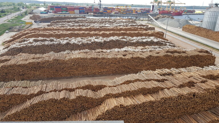 MIT plans growth of timber handling volumes